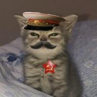 Андрей Мокин