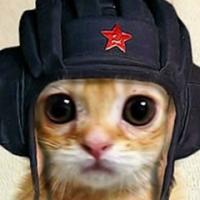 Руслан Саттаров